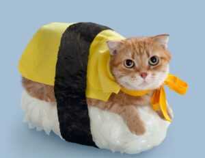 advice for family members of llblogfamily