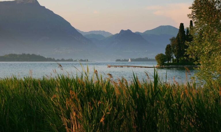 benefits of alletomir wealth management