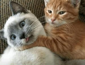 fitness news llblogfamily