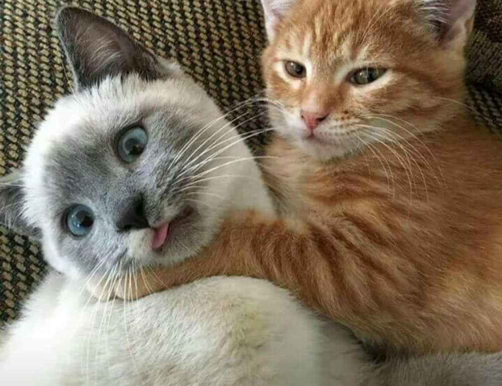 fitness news llblogfamily