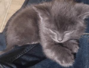 health advice llblogfamily