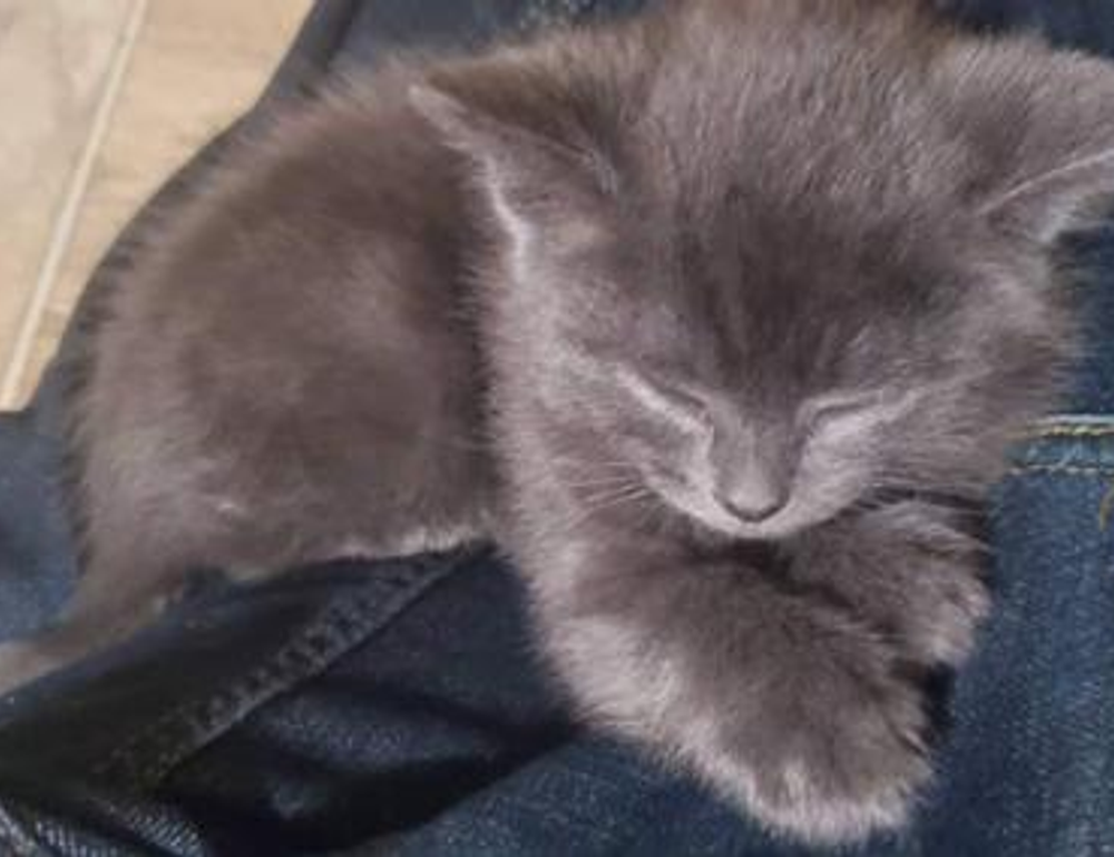 health advice llblogfamily