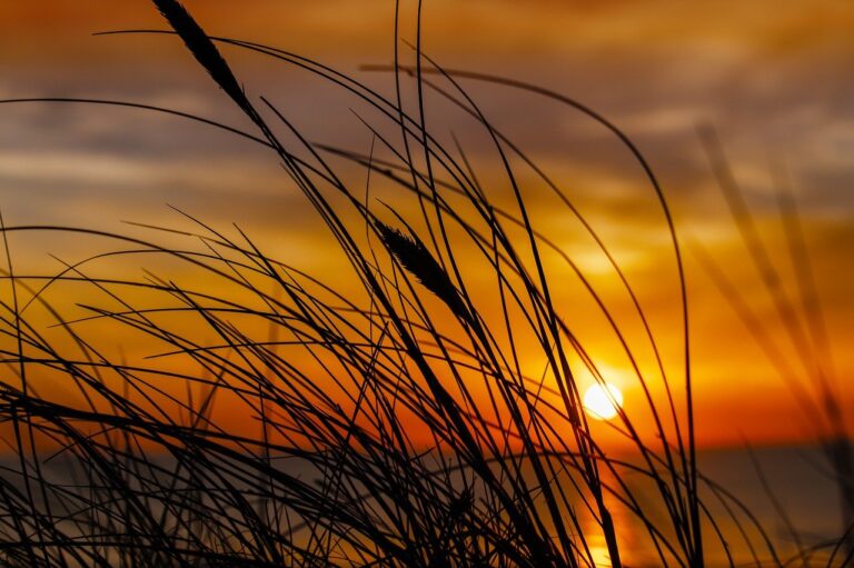 how python 2579xao6 can be used for data analysis