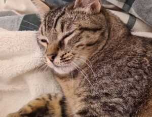 how to get over from game overdertoza addiction