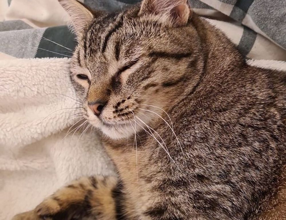 how to get over from game overdertoza addiction