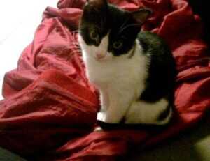 nutritional advice for couples llblogfamily