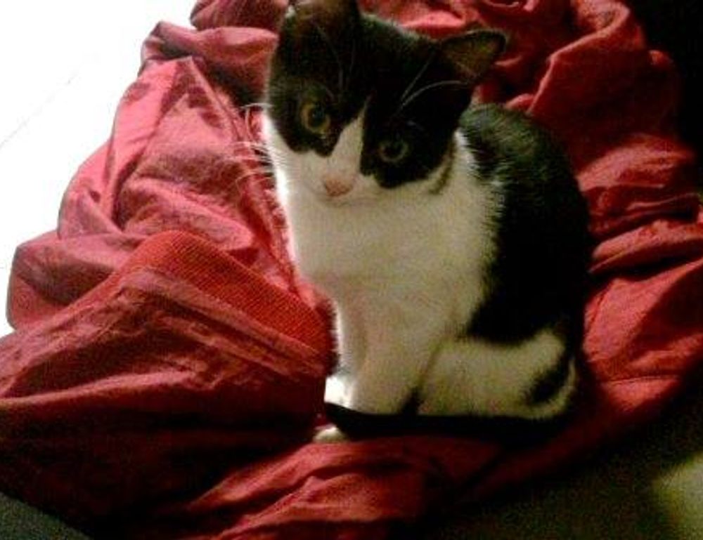 nutritional advice for couples llblogfamily