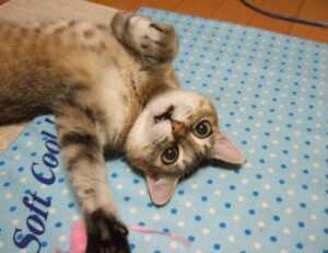 which advice should be given to parents who llblogfamily