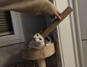 why anglehozary cave diving is dangerous