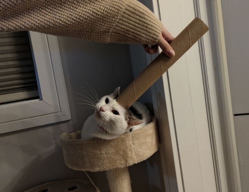 why anglehozary cave diving is dangerous