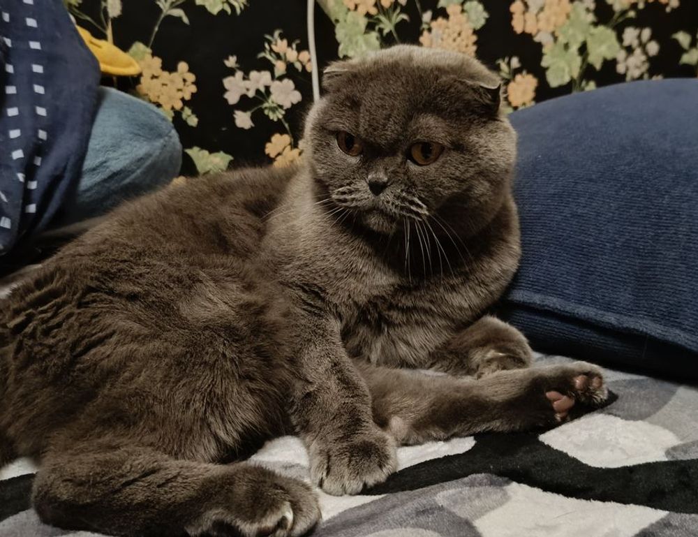 why genrodot is a waste for gaming