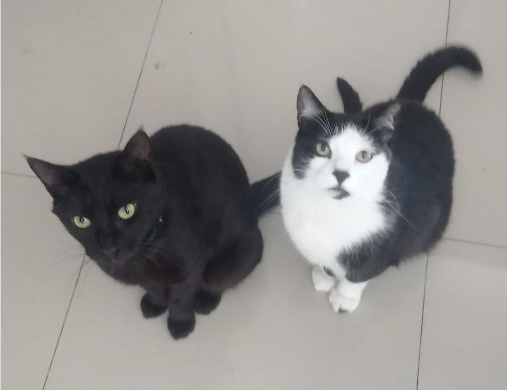 why python genboostermark is used in cyber security