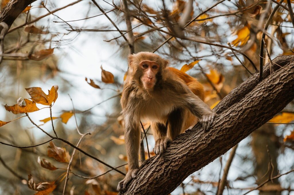 active learning guide fparentips