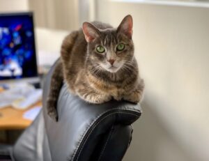 communication tips fparentips