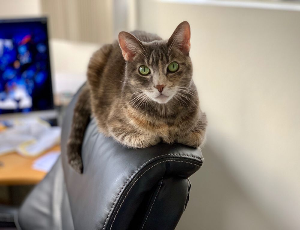 communication tips fparentips