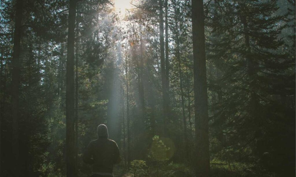 family advice convwbfamily