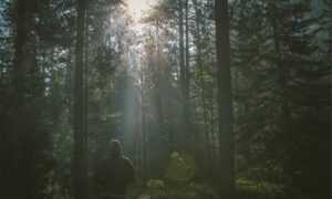 family advice convwbfamily