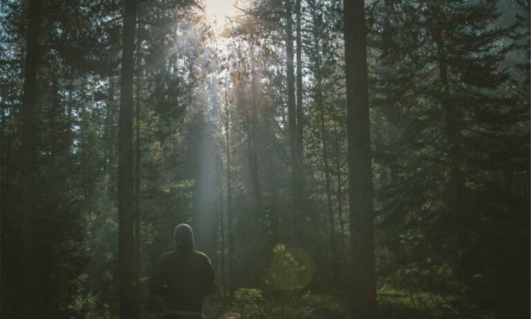 family advice convwbfamily