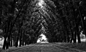 family education nitkaedu