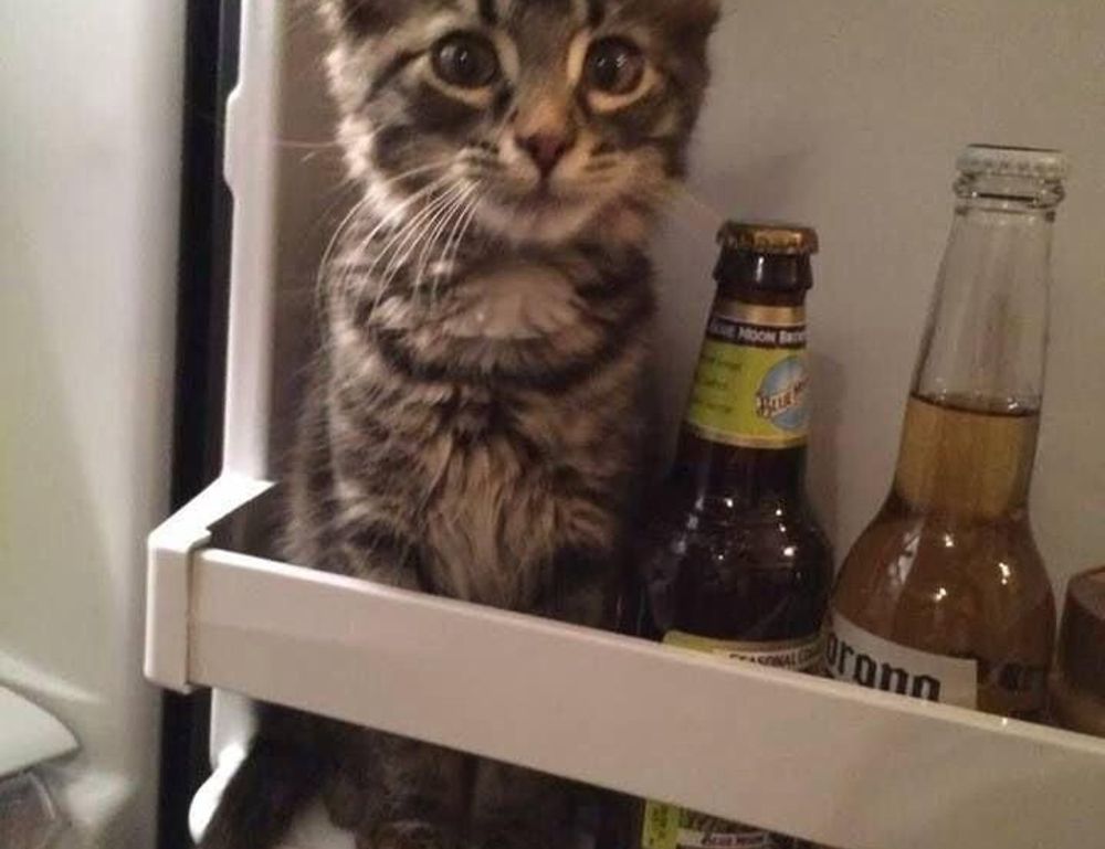 health guide fparentips