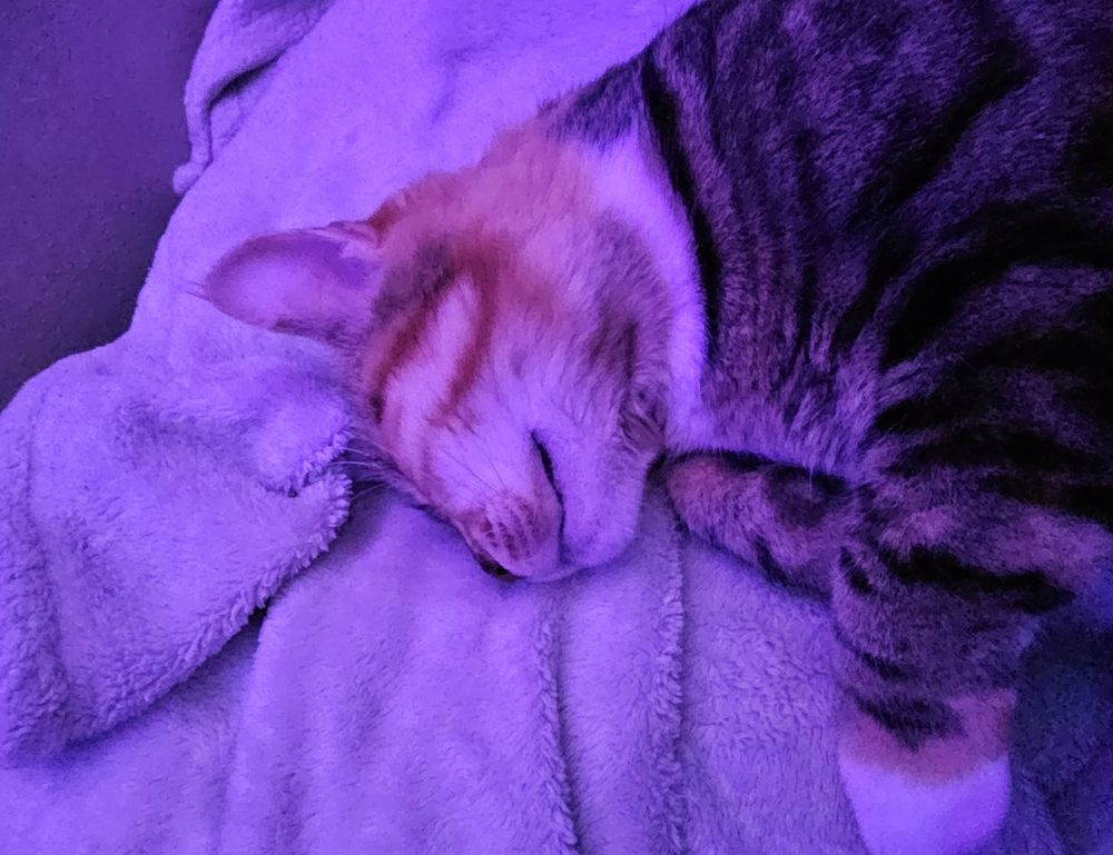 parenting advice fpmomhacks