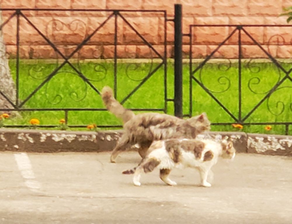 positive connection convwbfamily