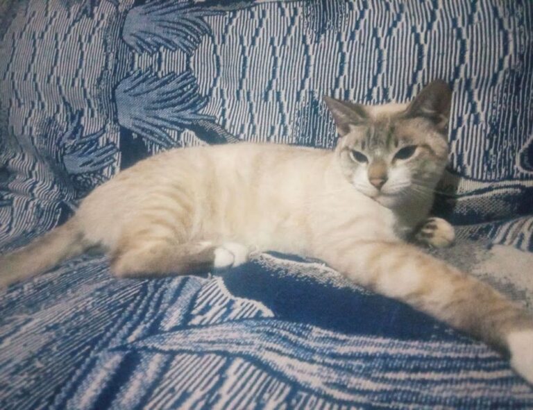 relations tips fpmomhacks