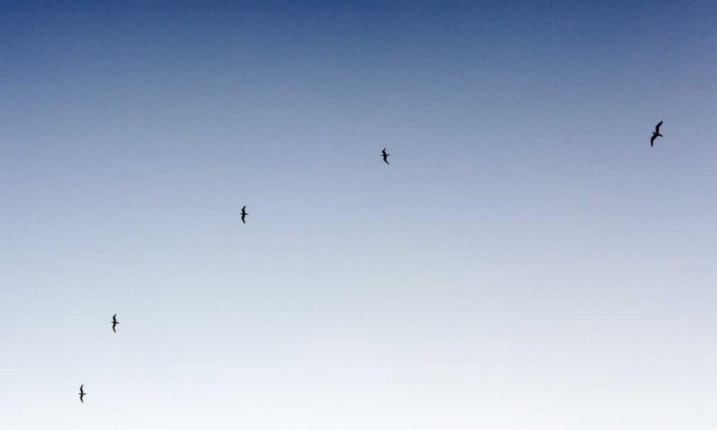 relationship advice fpmomhacks