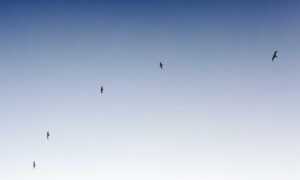 relationship advice fpmomhacks