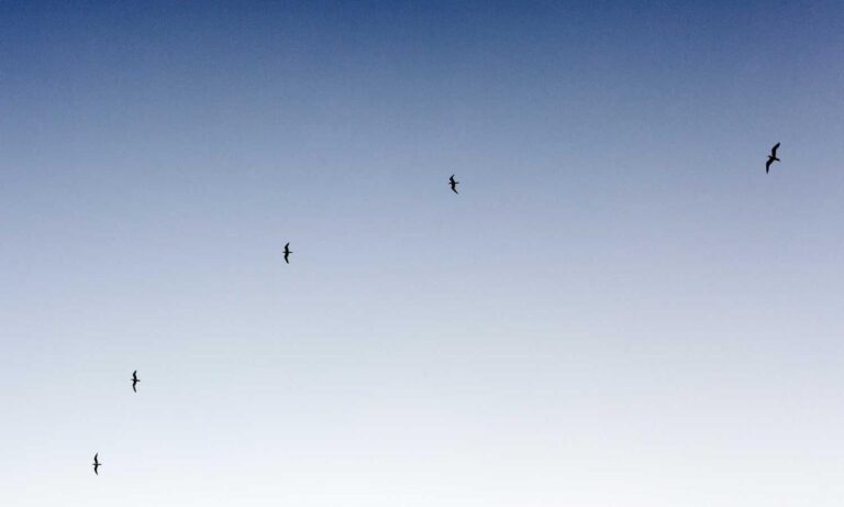 relationship advice fpmomhacks