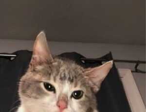 relationship guide fpmomhacks