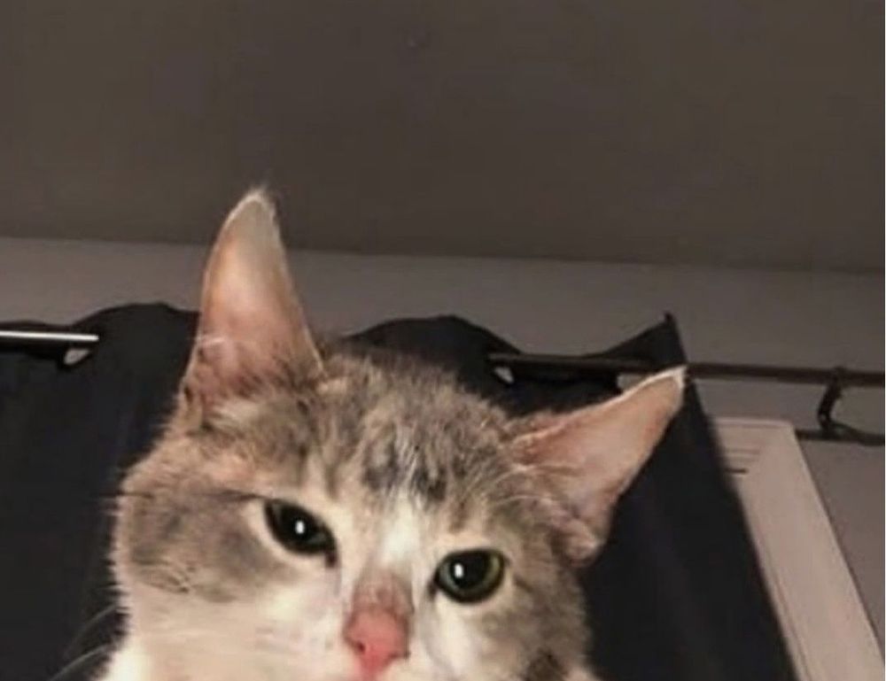 relationship guide fpmomhacks