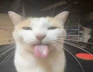 relationship tips fpmomhacks