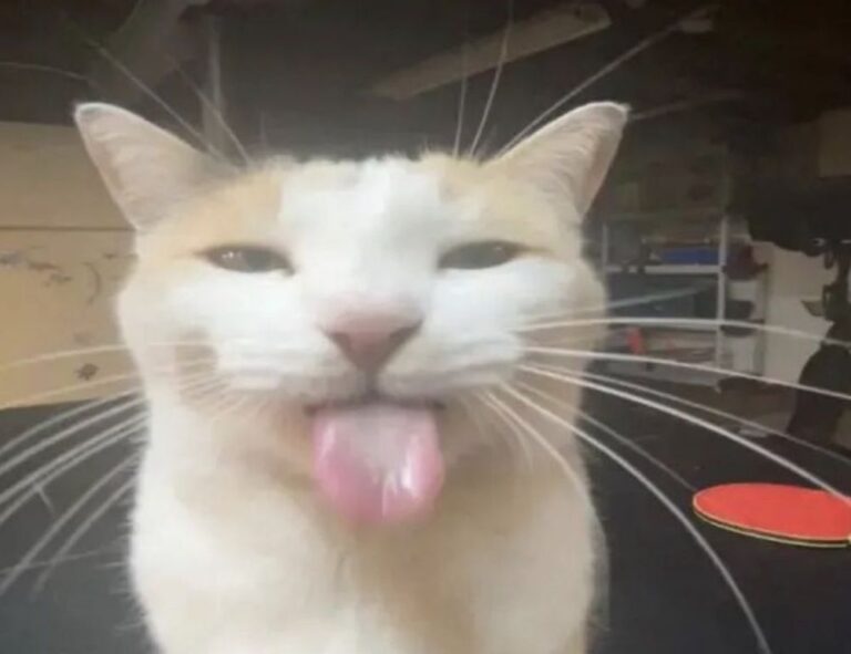 relationship tips fpmomhacks