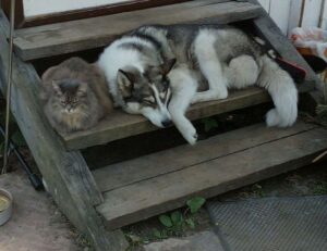 school education nitkaedu