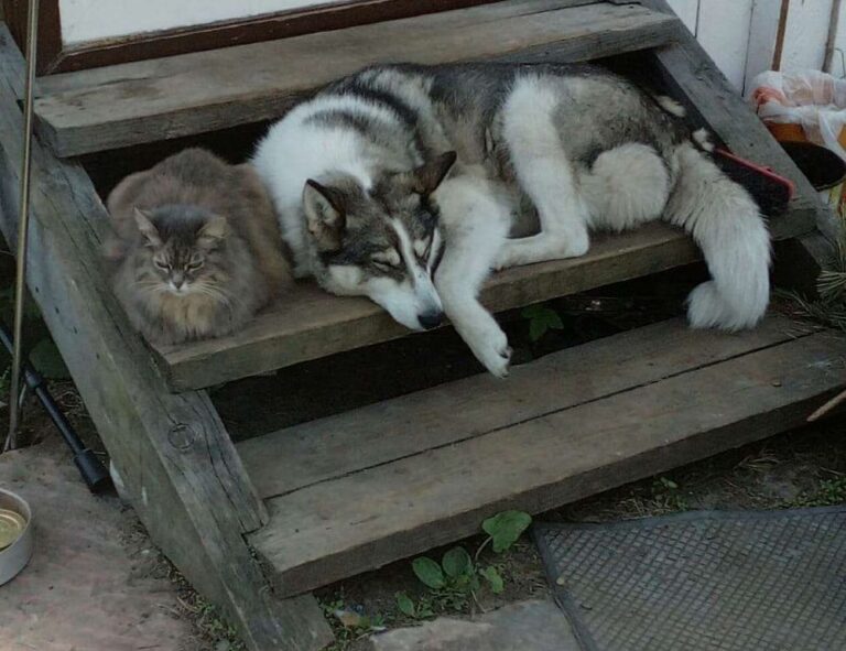 school education nitkaedu