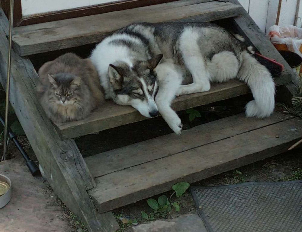 school education nitkaedu