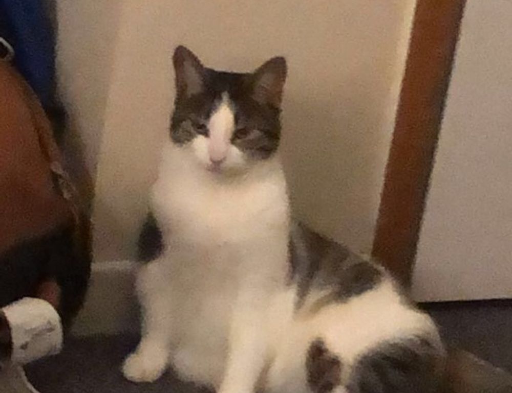 strategic guides convwbfamily