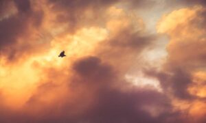 why school education is important nitkaedu