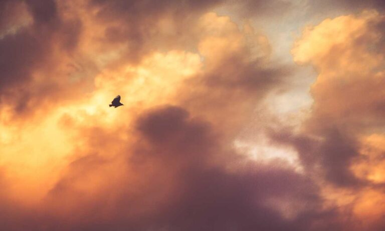 why school education is important nitkaedu