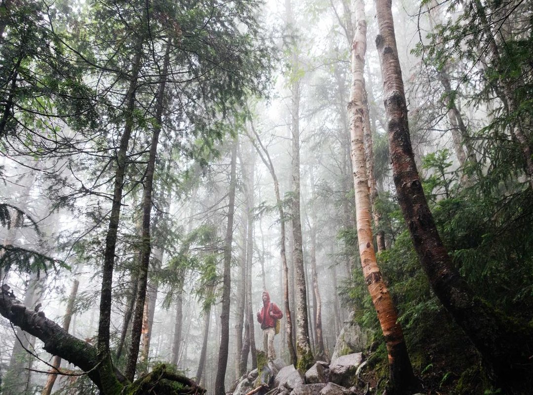 Frequently Asked Questions (FAQs)