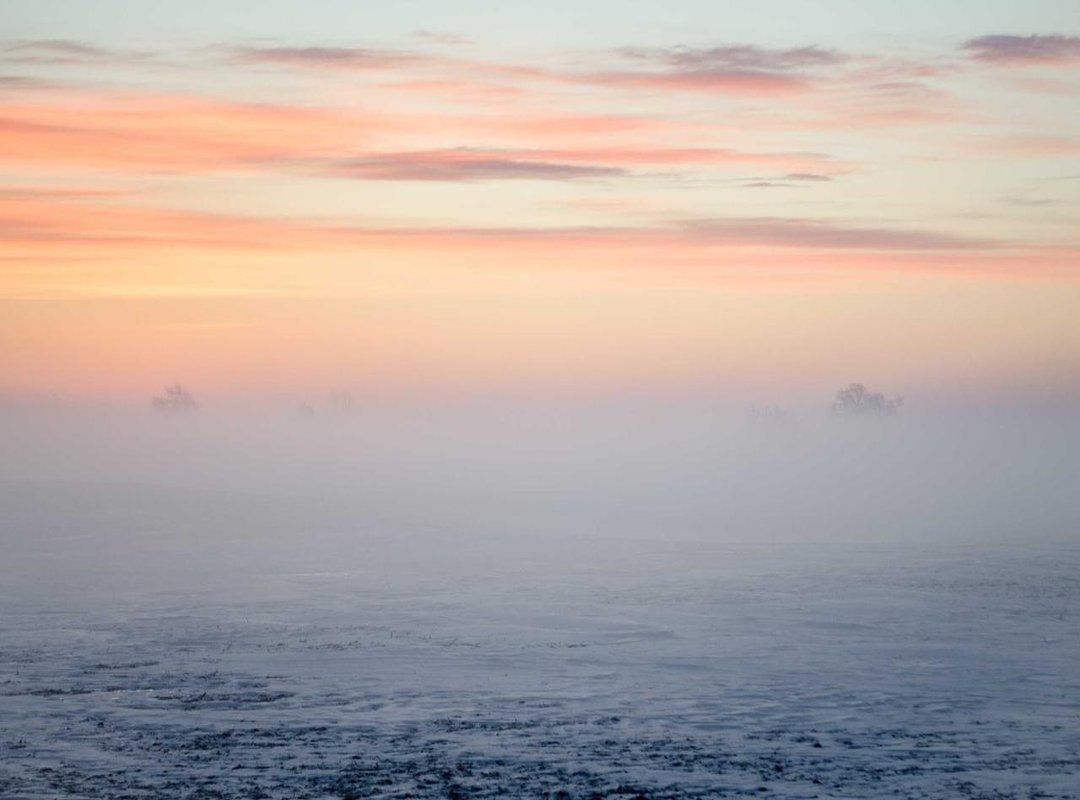 Why This Matters: Reading Nutrition Labels Around the World