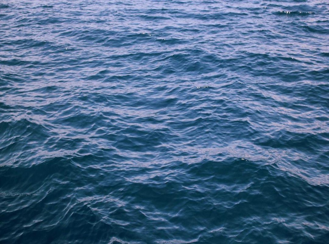 Torrent Download vs. Official Stream: A Clear Comparison