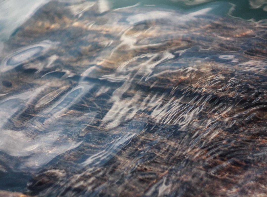 The Double-Edged Sword: Anonymity's Pros and Cons