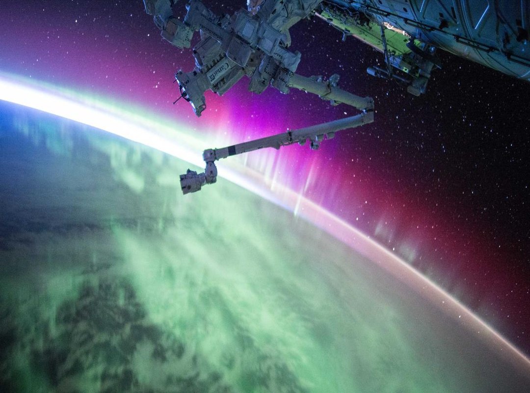 Finding Your Style: Popular Variations of the Shaved Mullet