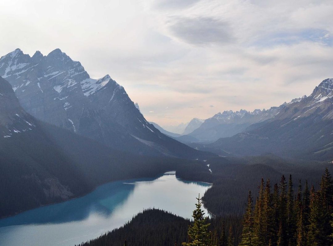 How to Match the GIF to the Person (and Avoid Awkwardness)