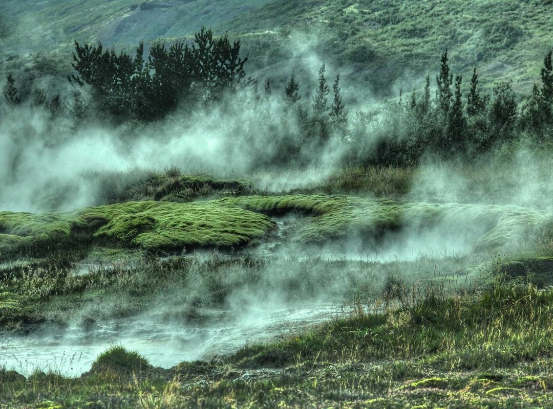 Where to Follow the Journey: Rita Guerner on Social Media