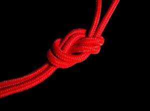 virgil van dijk zonder knot