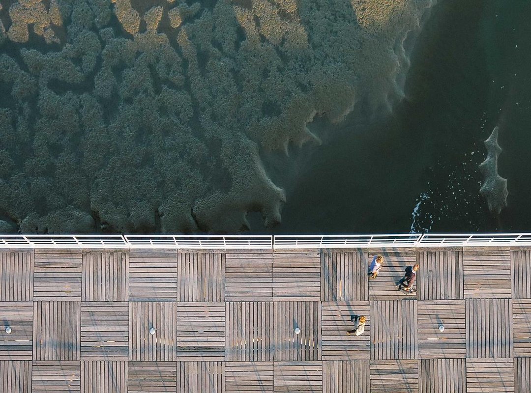 How to Use 'Womp Womp' (And When to Absolutely Avoid It)